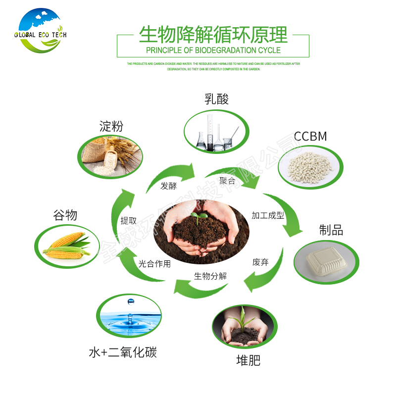 全生物降一次性解快餐盒